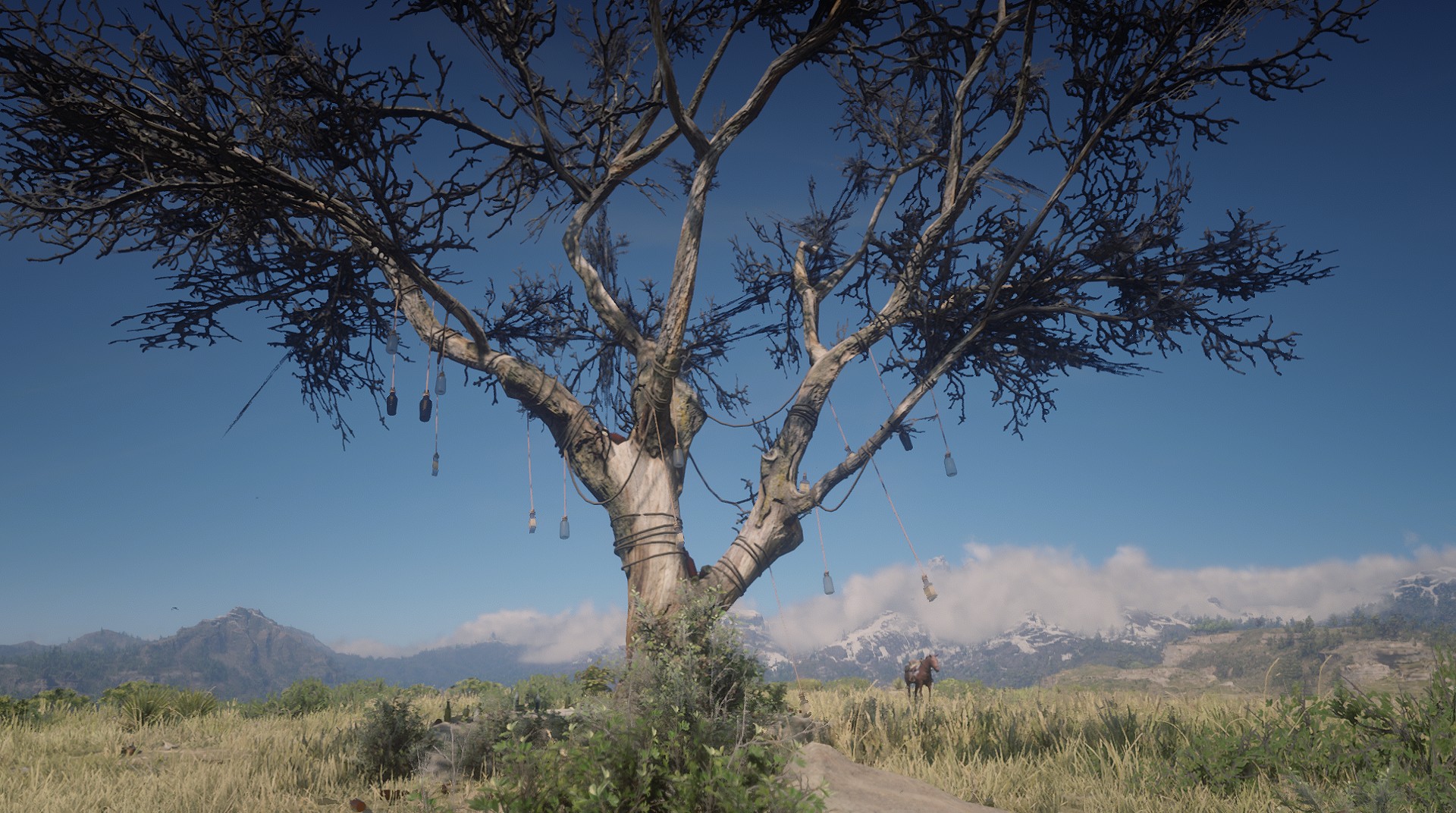 Whisky Tree RED DEAD REDEMPTION 2 情報&攻略 wiki RDR2 atwiki（アットウィキ）